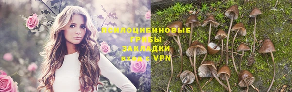 кристаллы Абаза