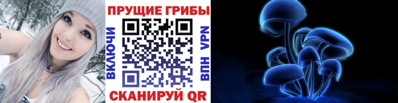 ссылка на мегу ТОР  Нестеровская  Псилоцибиновые грибы GOLDEN TEACHER  купить закладку 